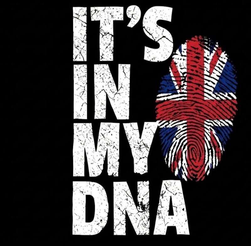 Ninewin uk, nine win casino uk